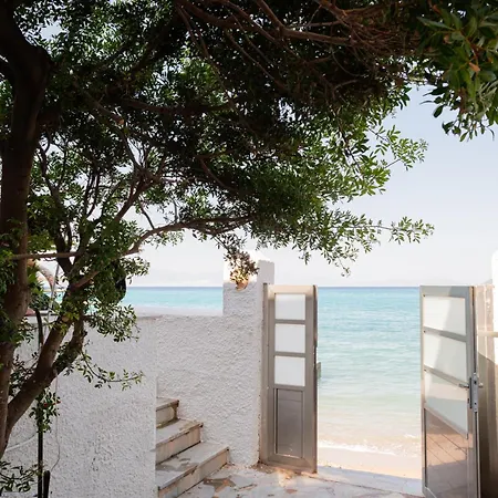 Beachfront Oasis Feriehus *